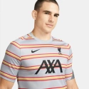 Pánské tričko Liverpool FC M DB7627 017 - Nike