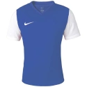 Pánské boty Dri-Fit Tiempo Premier 2 M DH8035-463 - Nike