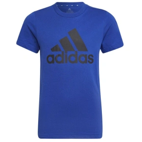 Tričko adidas Big Logo Tee Jr HP0840