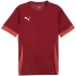 Pánský dres Puma teamGoal Matchday Jersey bordó 705747 09 pánské