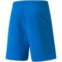 Pánské kraťasy teamRISE Short M 704942 02 - Puma