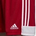 Pánské šortky Tastigo 19 DP3681 - Adidas