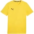 Puma Team Goal Casuals Tee M 658615 07 pánské