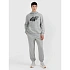 Pánské joggerové tepláky 4F 4FRMM00TTROM1625-27M