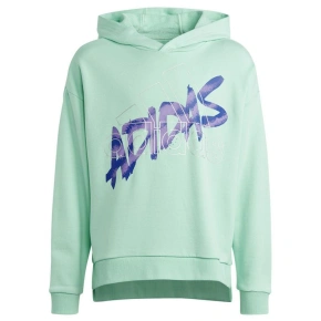 Adidas D Hoody Jr Mikina HR5825 Adidas D Hoody Jr Mikina HR5825