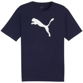 Puma Team Rise Logo Jersey Cotton M 658705 06 pánské