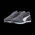 ST Runner v4 Mesh Cool Dark Gray – PUMA Wh (39966603)