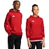 Dětská mikina adidas Entrada 26 Hoody červená JZ6568