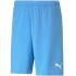 Pánské šortky TeamRise Short Team M 704942 18 - Puma