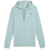Mikina Puma Ess 2 Color Small No.1 Logo Hoodie TR M 684719 67 pánské