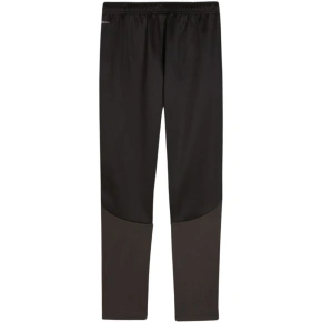 Dětské tréninkové kalhoty Puma Team Goal Black 658641 03
