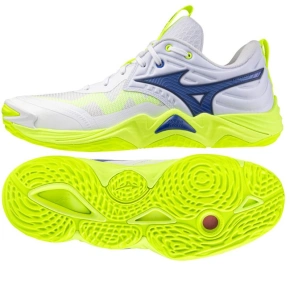Boty Mizuno WAVE MOMENTUM ELITE V1GA251239