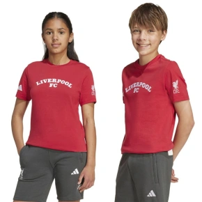 Adidas Liverpool FC Tee Junior JW7878 tričko Adidas Liverpool FC Tee Junior JW7878 tričko