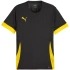 Puma teamGoal Matchday Jersey M 705747 26 pánské