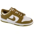 Boty Nike Dunk Low Retro M DV0833-105