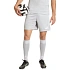 Pánské šortky adidas Tiro 26 League šedé KA8781