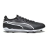 Kopačky Puma King Pro FG/AG M 107566-01