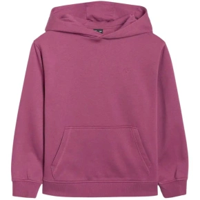 Mikina 4F F1953 Jr 4FJWAW25TSWSF1953 50S Mikina 4F F1953 Jr 4FJWAW25TSWSF1953 50S