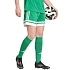 Dámské šortky adidas Squadra 25 green JN7483 dámské