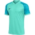Pánské tričko Nike Dri-FIT Trophy VI turquoise HV8151 354 pánské