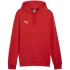 Mikina Puma Team Goal Casuals Hoody M 658618 01 pánské