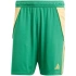 Šortky adidas Tiro 24 M IT2414