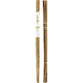 PODPĚRA PRO ROSTLINY 60cm BAMBUS 10 PROGARDEN PODPĚRA PRO ROSTLINY 60cm BAMBUS 10 PROGARDEN