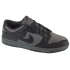 Boty Nike Dunk Low Retro W HF1986-001