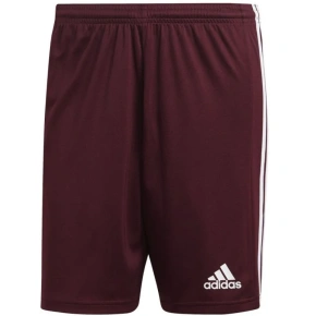 Pánské kraťasy Squadra 21 Short M GN8083 - Adidas