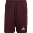 Pánské kraťasy Squadra 21 Short M GN8083 - Adidas