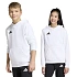 Dětská mikina adidas Entrada 26 Hoody bílá JZ6561