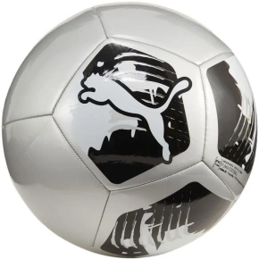 Puma Big Cat fotbal 84214 03