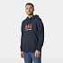 Helly Hansen pánská mikina HH LOGO HOODIE 54582 597 pánské