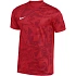 Pánské tričko Nike Dri-Fit Precision VII, červené, FZ9332, 657 L