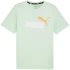 Puma ESS+ 2 Col Logo T-Shirt M 586759 88 pánské