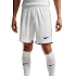 Pánské šortky Nike Dri-Fit Laser VI white HV8244 100