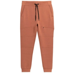 Kalhoty 4F M 4FSS23TTROM152 hnědé