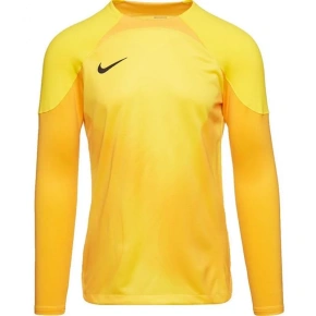 Pánský brankářský dres Gardien IV JSY M DH7967 719 - Nike