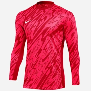 Mikina Nike Gardien V Goalkeeper DF V M FD7474-644