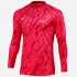 Mikina Nike Gardien V Goalkeeper DF V M FD7474-644