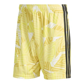 Adidas Tiro 26 Soutěžní brankářské šortky KC5347 Adidas Tiro 26 Soutěžní brankářské šortky KC5347