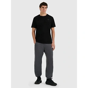Pánské tepláky typu jogger 4F 4FRMM00TTROM1625-23M
