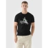 Pánské tričko s potiskem 4F 4FRAW24TTSHM2301-20S pánské