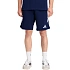 Pánské teplákové šortky adidas Tiro 26 League Navy Blue JY9670