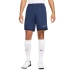Šortky Nike Dri-Fit Academy 25 M FZ9776 410