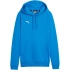 Mikina Puma Team Goal Casuals Hoody W 658621 02