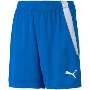 Puma teamLIGA Shorts Jr 704931 02