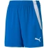 Puma teamLIGA Shorts Jr 704931 02