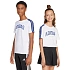 Dětské tričko adidas Codes Collegiate Graphic bílé JI6674