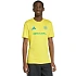 Pánské tričko adidas Brazil 26 Jersey yellow KH2307